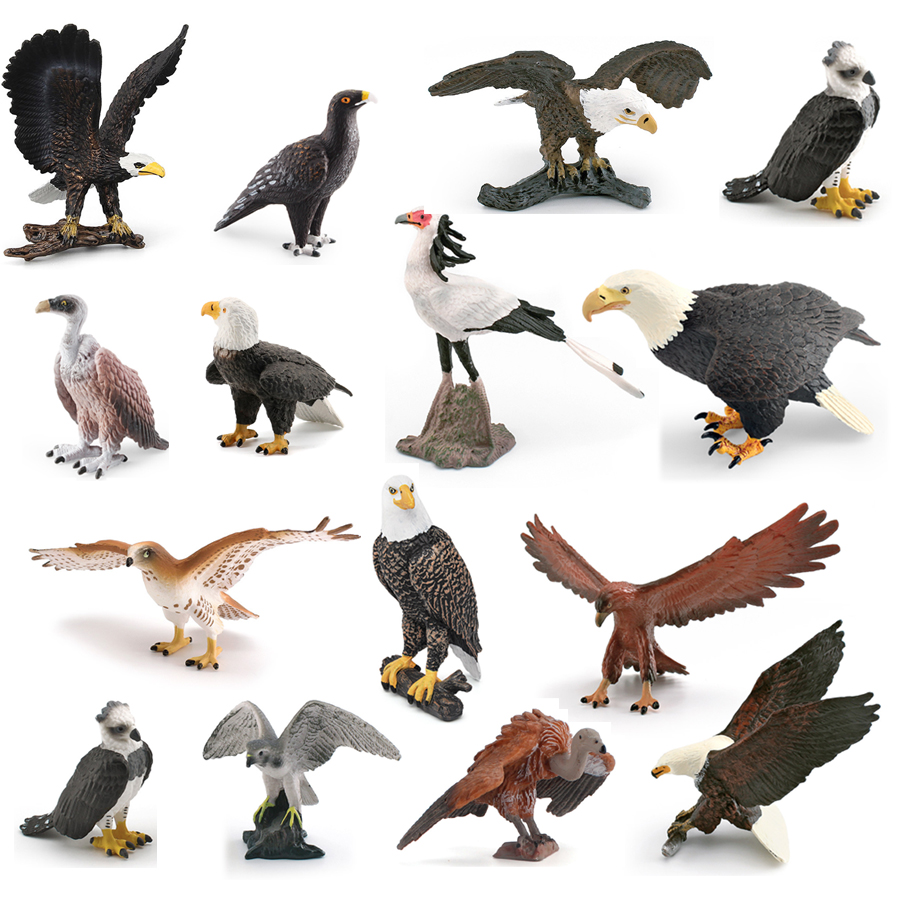 Kids Education Picture - Model Figur Burung Hantu Emas, Burung