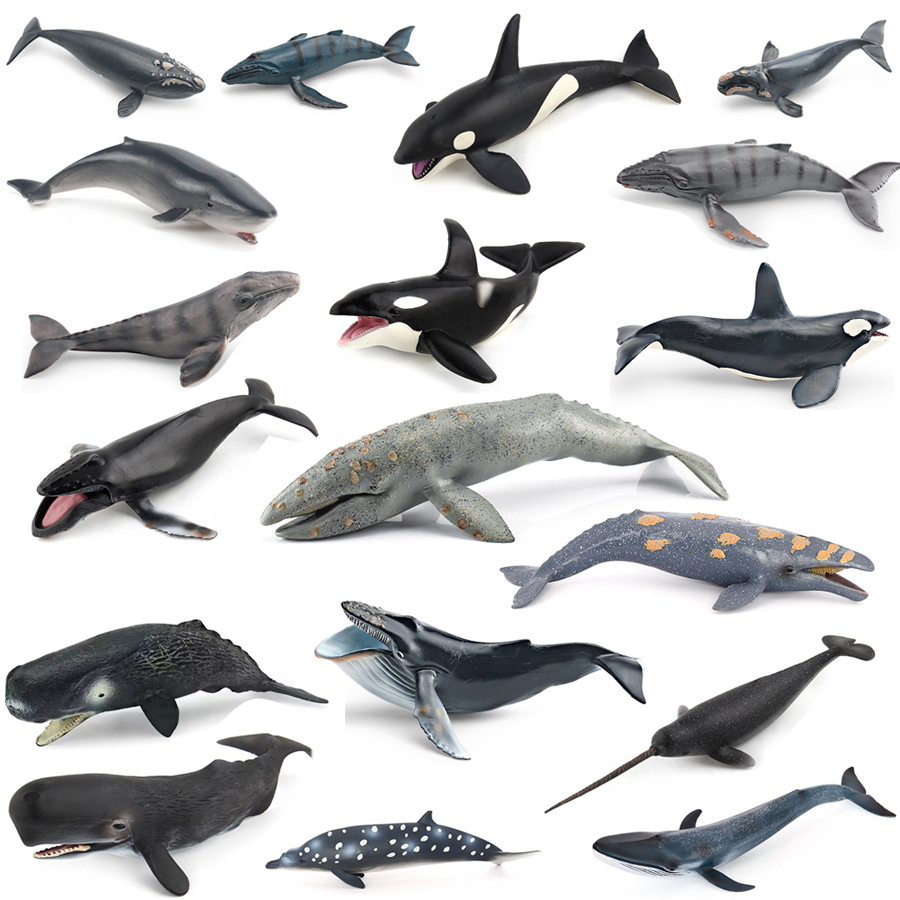 Kids Education Picture - Model Hewan Laut Realistis: Paus Humpback,