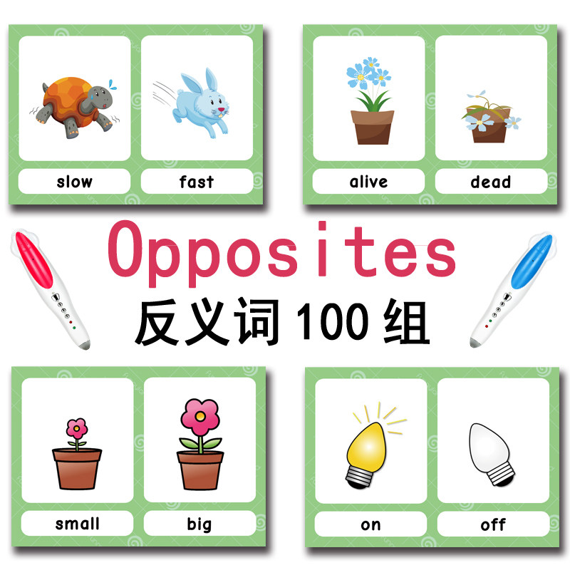 100 Kartu Flashcard Kata Bahas - Kid Educational ulasan dan harga