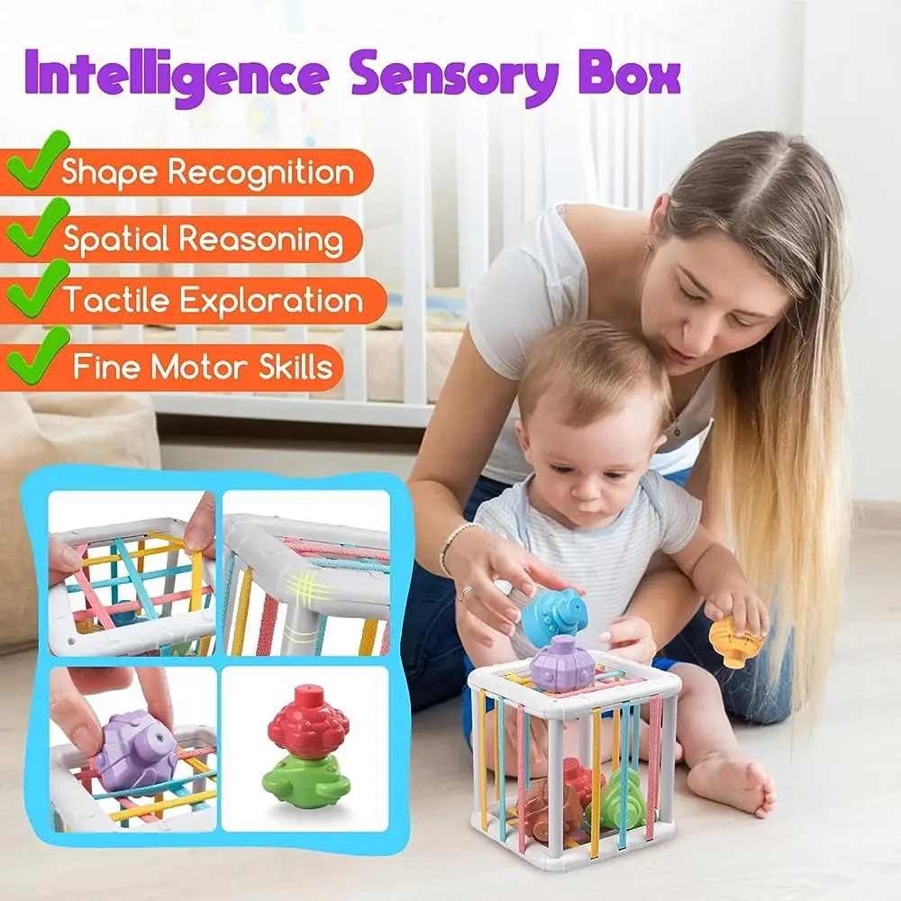 Mainan Edukasi Kognitif Pelati - Kid Educational ulasan dan harga