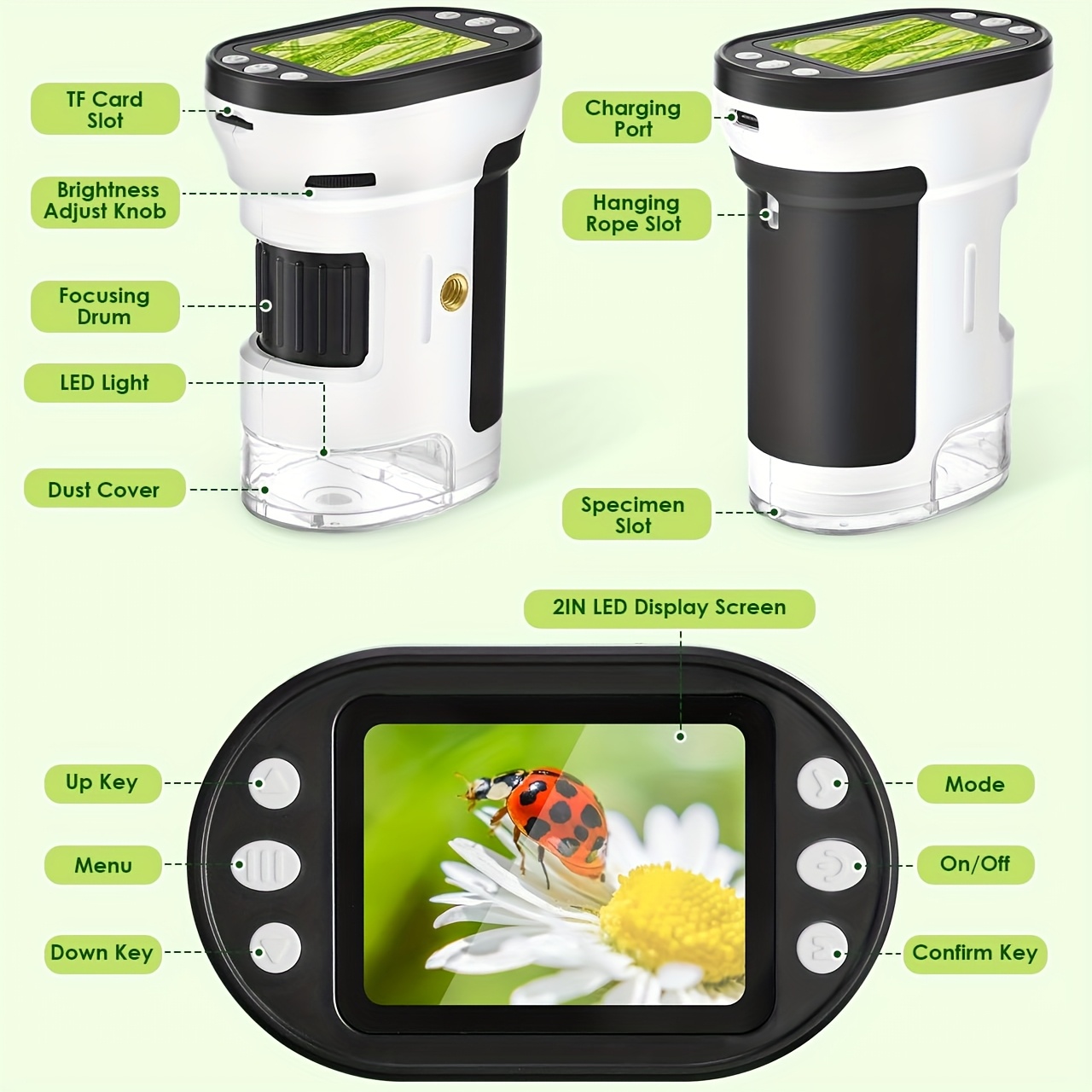 Kit Mikroskop Biologi Anak 100 - Kids Educational Videos ulasan dan harga